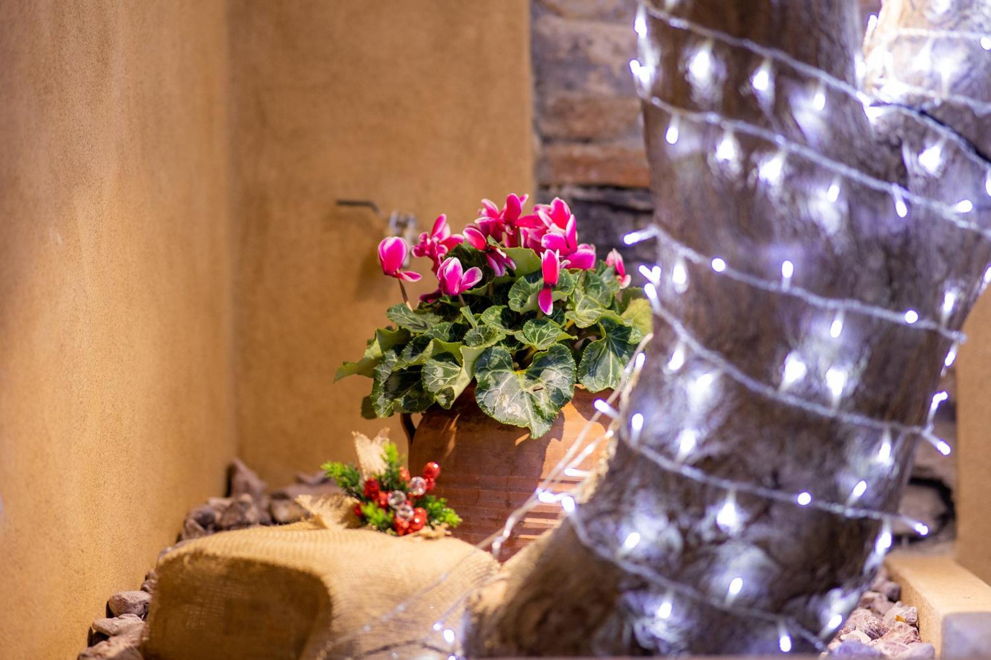 Apartmán Frida Kahlo - Le Petit Bati Volos Exteriér fotografie